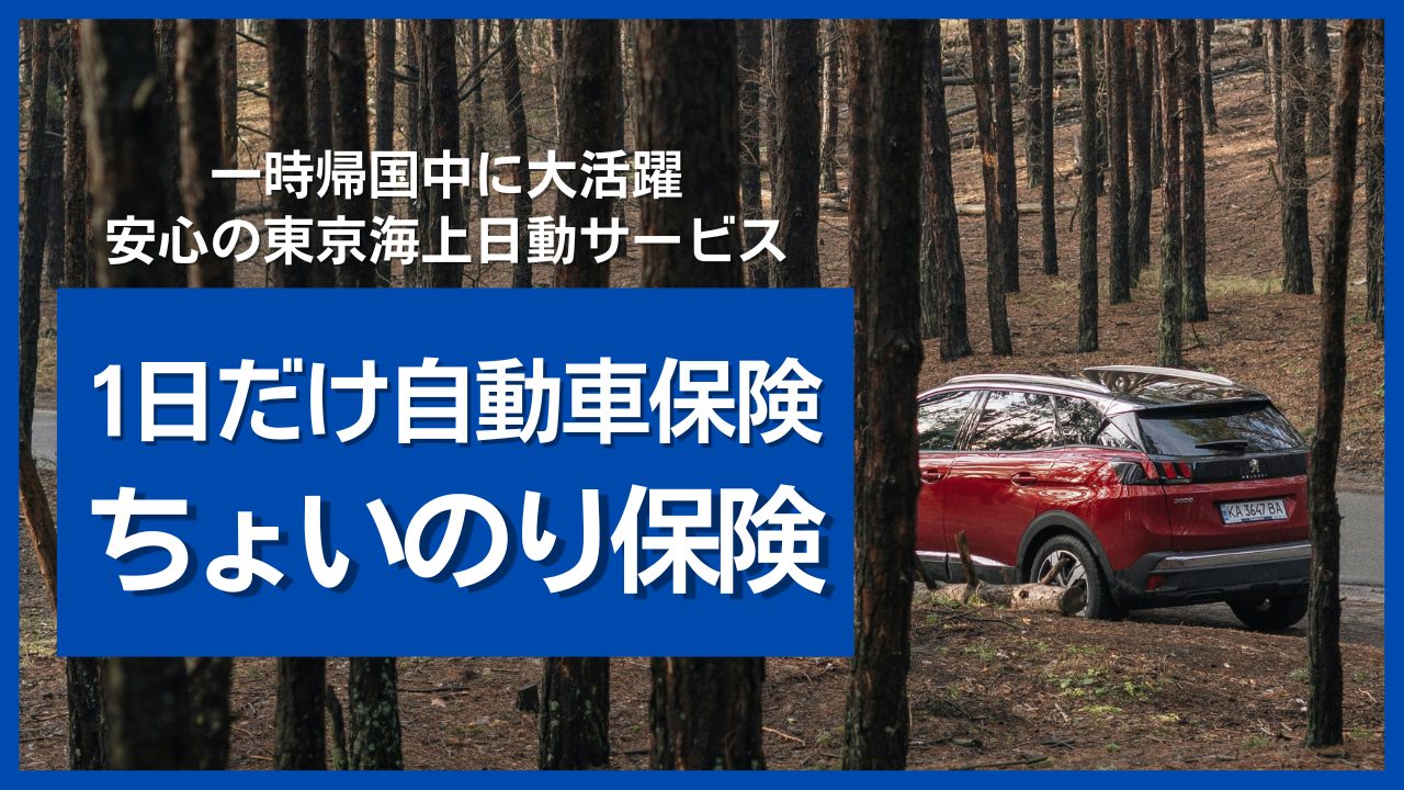 1日単位で入れる自動車保険「ちょいのり保険」が一時帰国時に最適！東京海上日動サイトから5分で加入できる